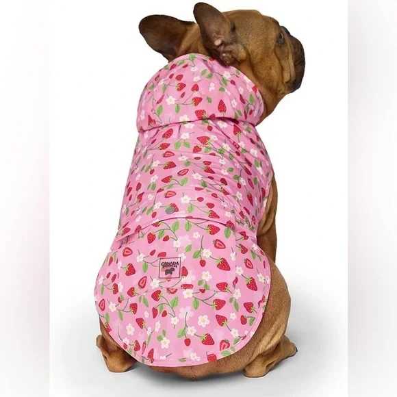 CANADA POOCH PICK ME STRAWBERRY PONCHO SIZE 12 - Picture 2 of 5